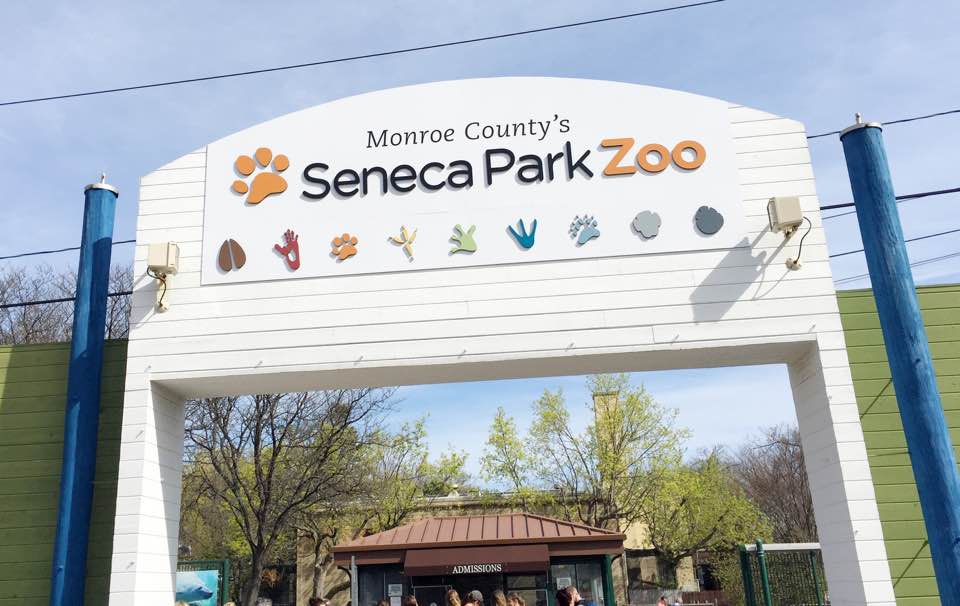 Seneca Park Zoo: One-on-One Time with My Kids