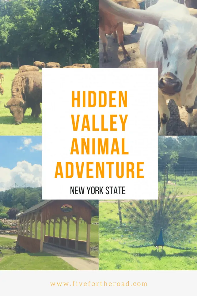 hidden valley animal adventure review five for the road
