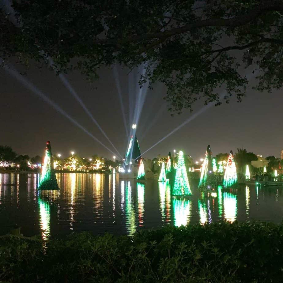 sea of trees at seaworld