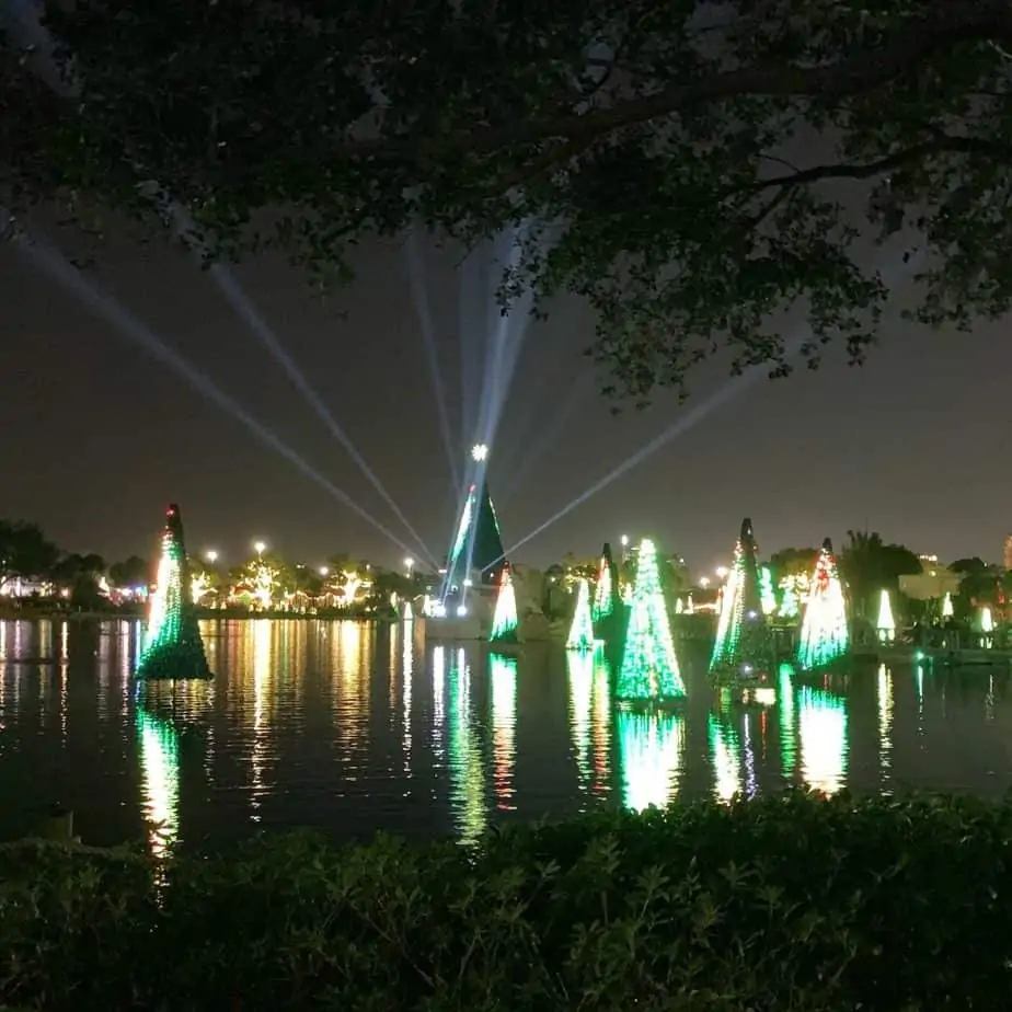 sea of trees at seaworld