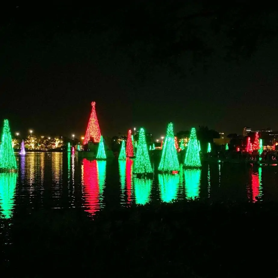 sea of trees at seaworld orlando