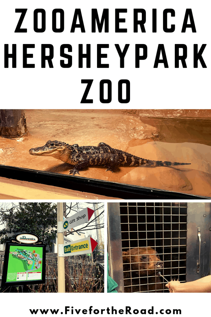 ZooAmerica Visit at Hersheypark in Hershey, Pennsylvania