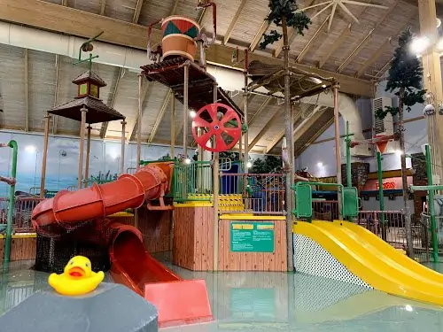 duck race activities at great wolf lodge