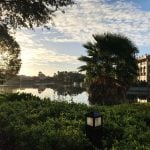 Disney Moderate Resorts: Is the Upgrade from Value Worth It?