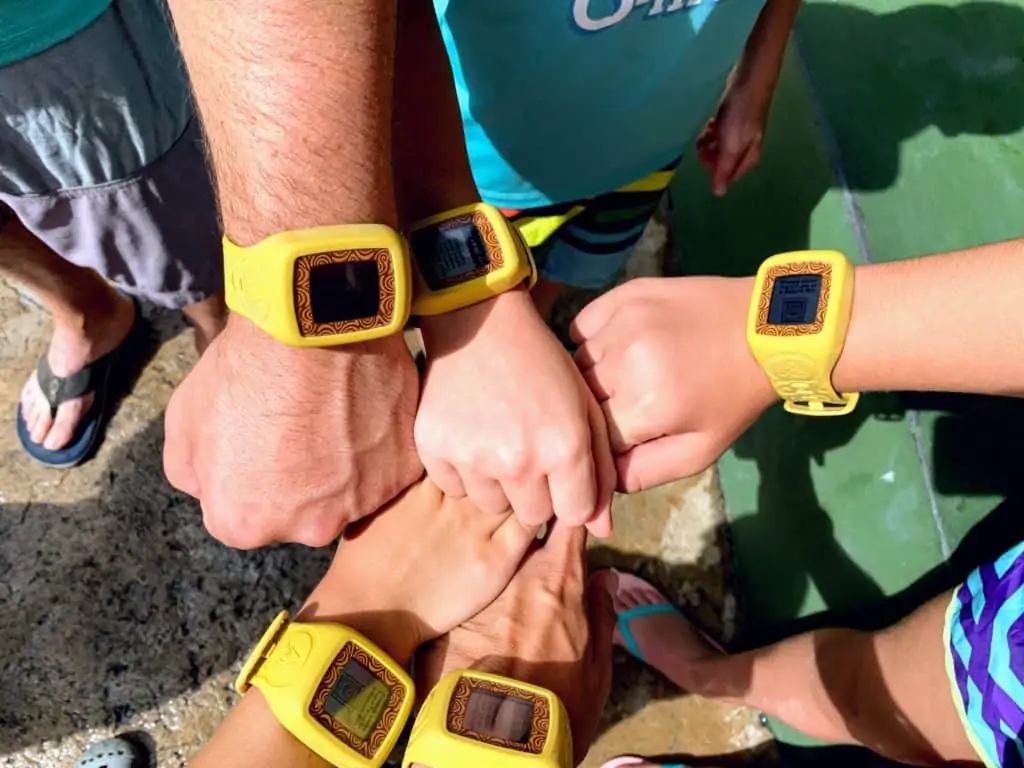 Tapu Tapu wristbands at Universals Volcano Bay.