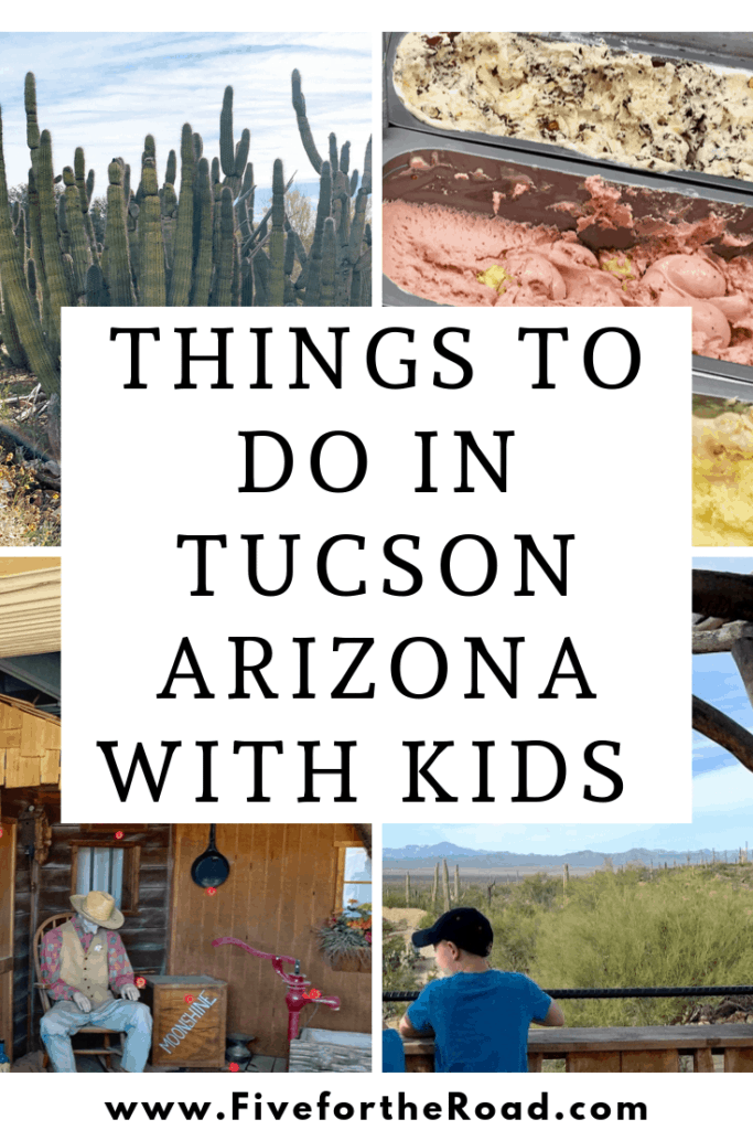 Best Things to do in Tucson Arizona with Kids 