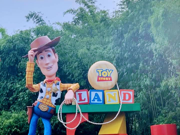 entrance to toy story land