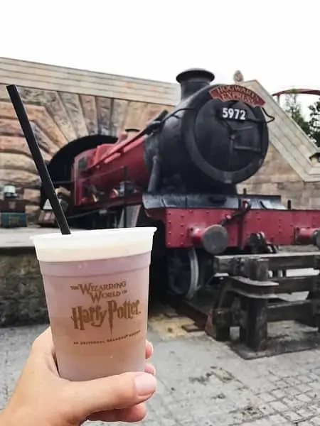 universal with kids, try butter beer at islands of adventure

