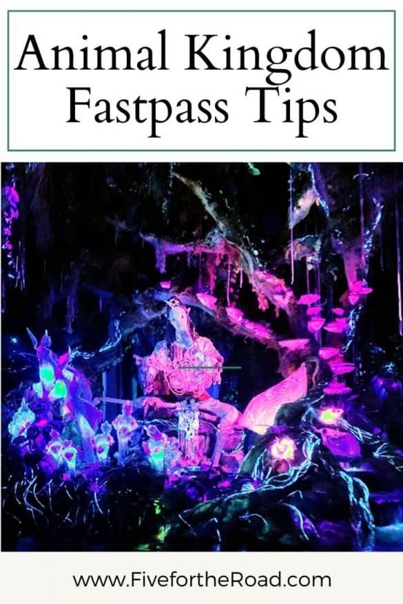 Disney Animal Kingdom FastPass Retired