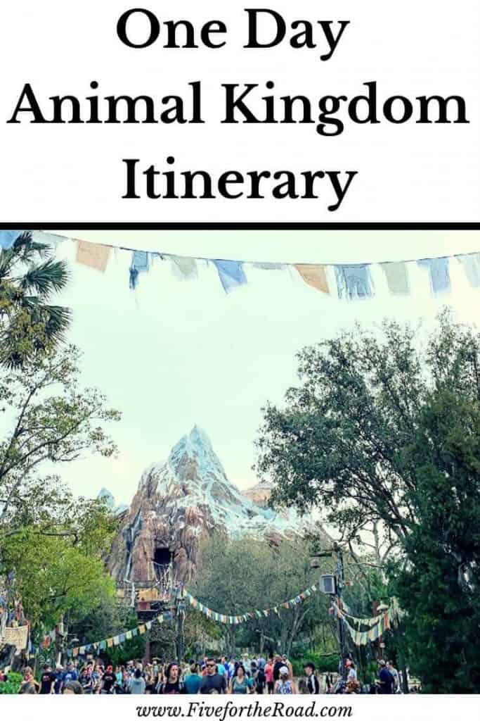 Animal Kingdom Itinerary | How to Plan Animal Kingdom in One Day - Family  Travel and Theme Parks