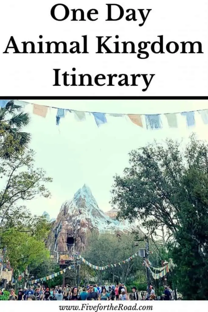 one day animal kingdom itinerary disney world