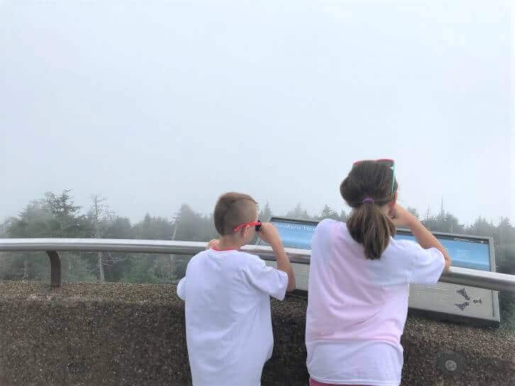 pigeon forge clingsmans dome.