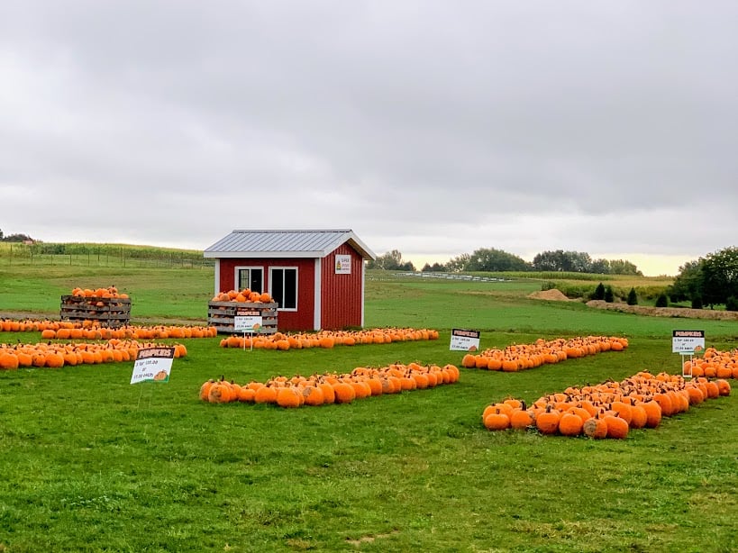 8 Fall Activities In Rochester NY Rochester Fall With Kids