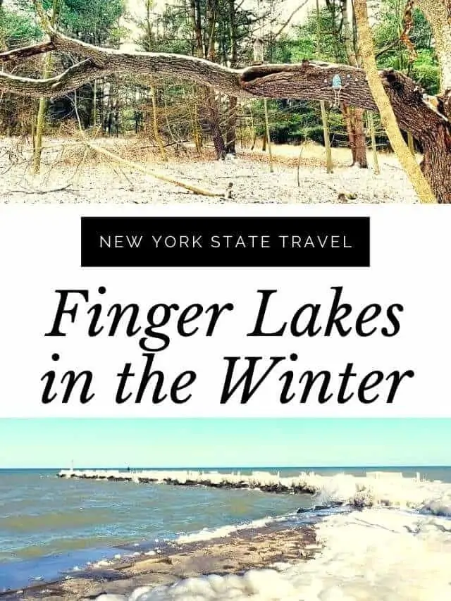 Finger Lakes in the Winter