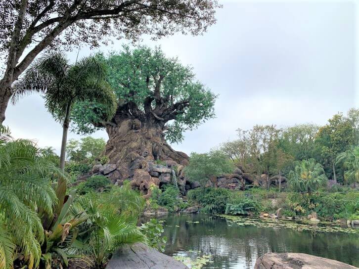 Best Rides at Animal Kingdom You Don't Want to Miss | Disney Plannining
