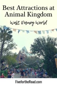 Best Rides at Animal Kingdom You Don't Want to Miss | Disney Plannining