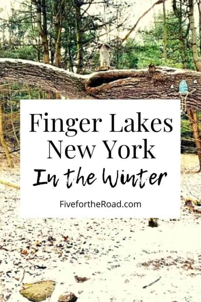 winter in the finger lakes ideas.