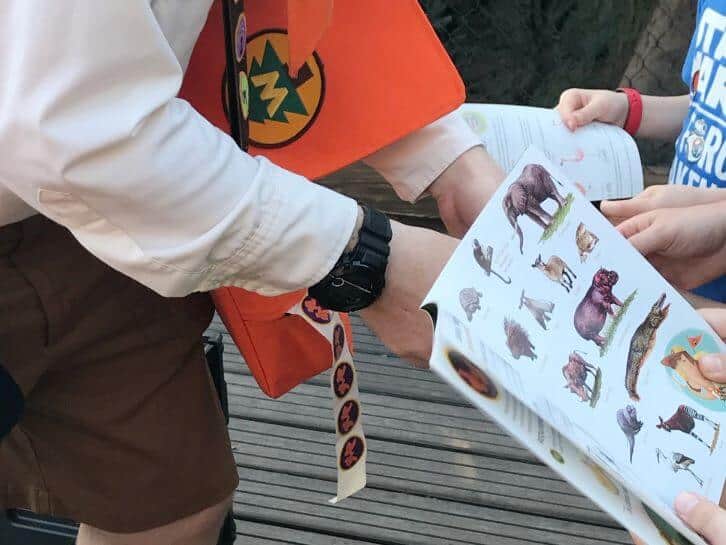 earning wilderness explorer badges at animal kingdom