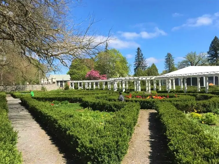sonnenberg gardens maze 