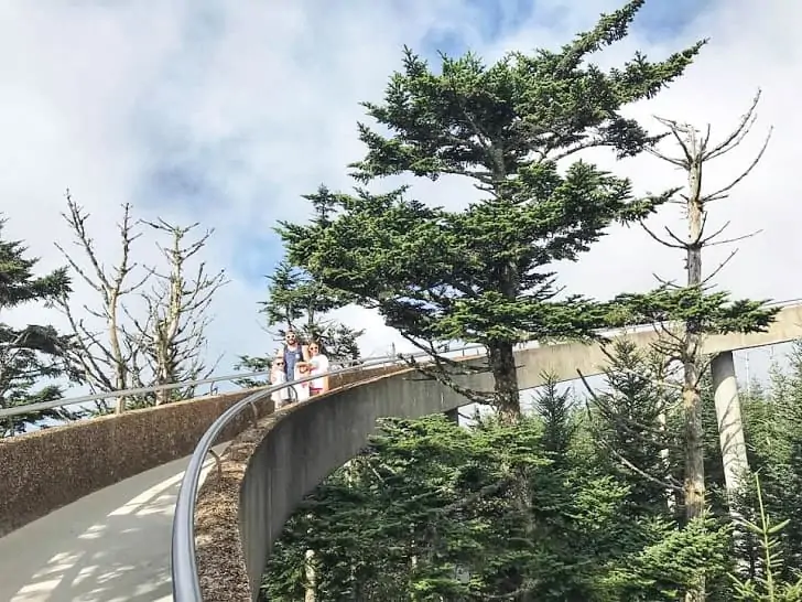 Gatlinburg clingmans dome trail