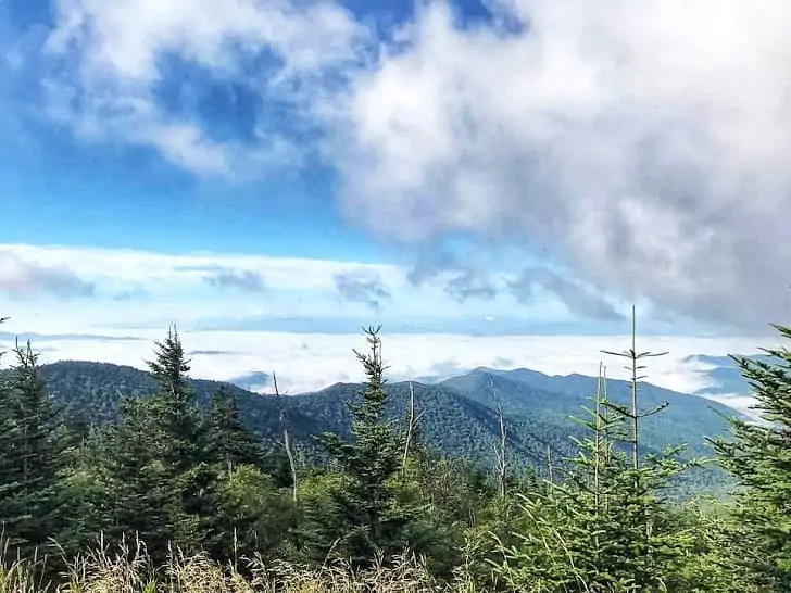 drive to clingmans dome trail