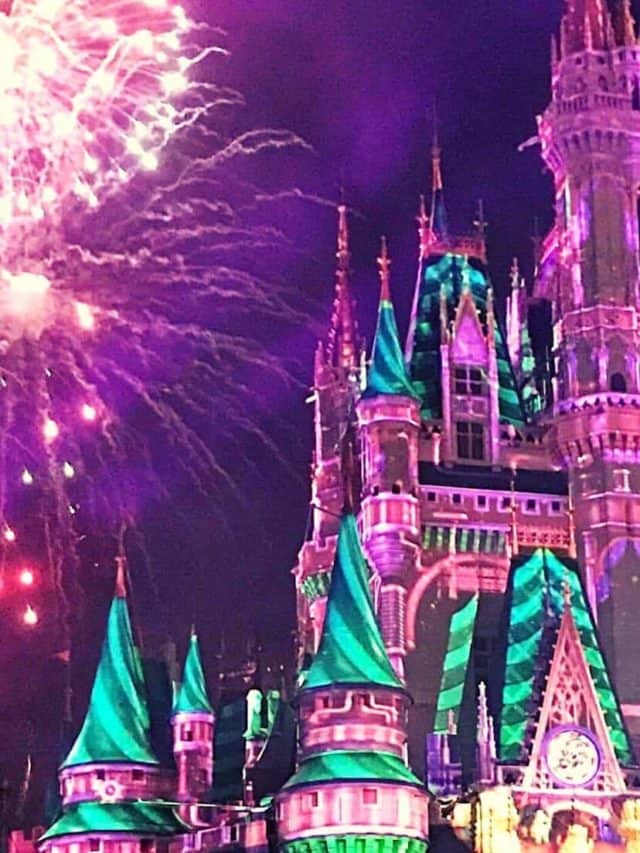 What is a Disney VIP Tour and are They Worth it? Family of Five