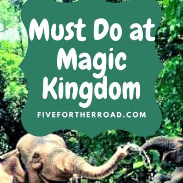 disney-must-do-at-magic-kingdom-web-story-cover