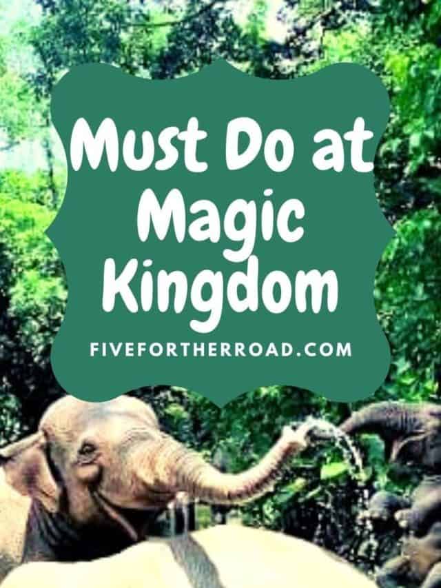 Best Magic Kingdom Rides