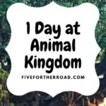 cropped-1-day-at-animal-kingdom.jpg
