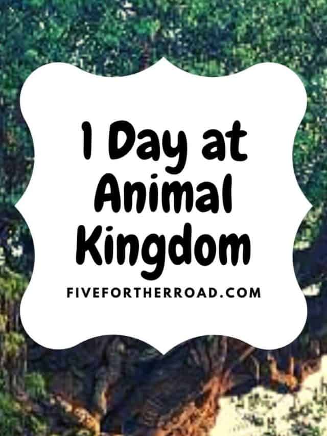 One Day at Animal Kingdom - Five for the Road Family Travel Blog