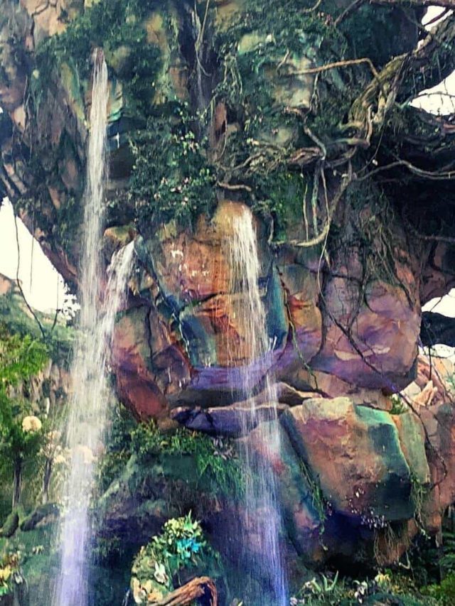 What to Do in One Day at Animal Kingdom