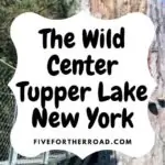 cropped-the-wild-center-tupper-lake-new-york.jpg