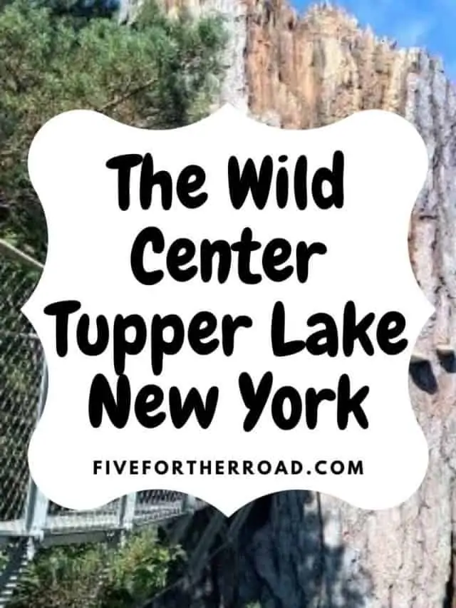 The Wild Center Tupper Lake New York