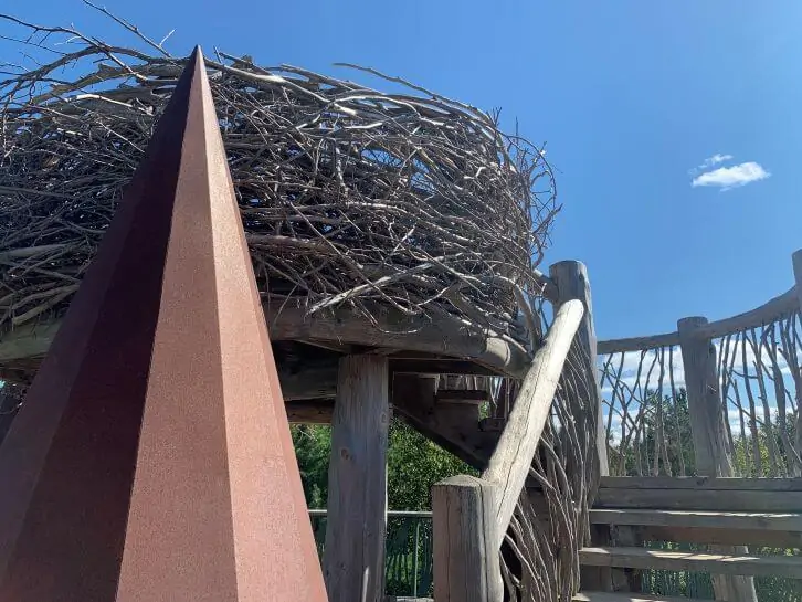 eagles nest at the wild center wild walk