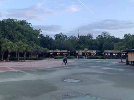 entrance to animal kingdom in one day