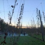 18 Fall Activities in Rochester, NY (Updated Fall 2026)