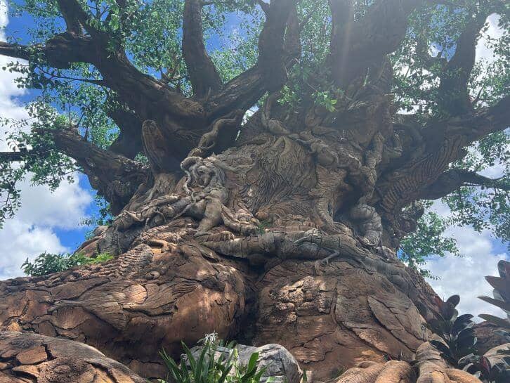 carvings on the tree of life at disneys animal kingdom