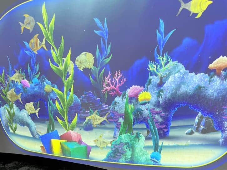 rochester childrens museum strong museum of play aquarium
