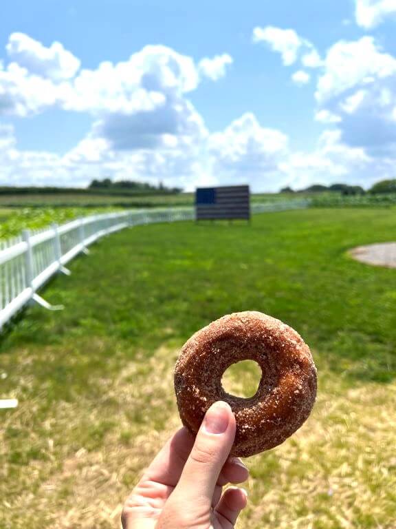 donut at wickham farms