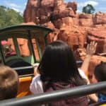 Disney World VIP Tour Review: Is It Worth It? (Our Honest Take)