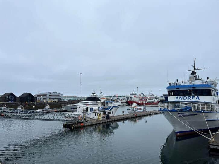 midday in iceland in june