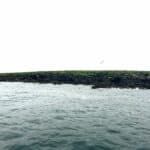 Visiting Iceland in June: What to Expect for Weather, Puffin Season & Midnight Sun