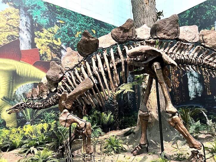 dinosaur at carnegie museum of natural history