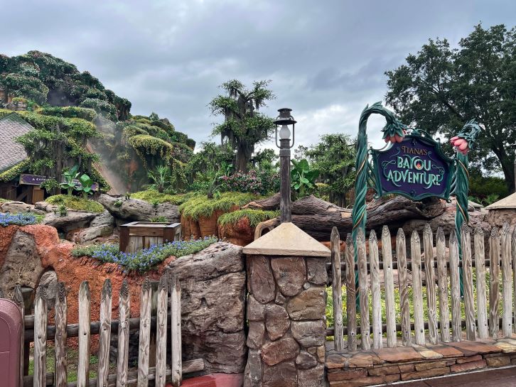 princess and the frog ride at magic kingdom