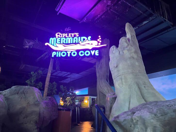 mermaids at myrtle beach aquarium