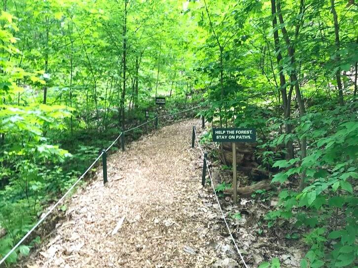 walking path to ropes course at sky high