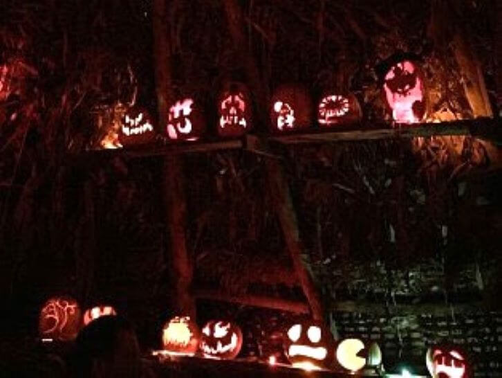inside teepee powers farm market pumpkins