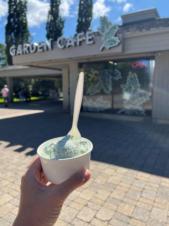 ice cream at the garden cafe butterfly conservatory