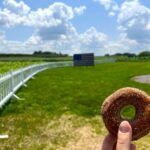 Visiting Wickham Farms: What to Do & Tips for Planning Your Day