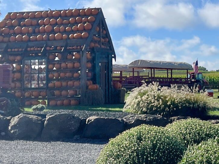 pumpkin house at wickham farms
